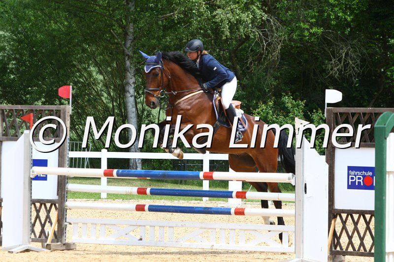 006M7209_Spring L.JPG